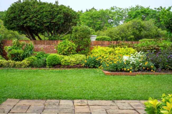 Lawn Care Formey TX